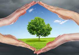 PROTECTION ENVIRONNEMENT_FORMATION MOODLE.2024